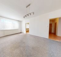 A bright living room in a three-room apartment with a carpet and ceiling lighting.