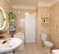 A bathroom in a 3-room apartment with a mirror, shower, and washing machine on a tiled floor.
