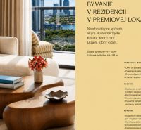 Bright 1-room apartment with wood-patterned flooring and a nice view.