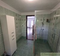 A bathroom in a family house with tiles and a shower corner, green tiles.