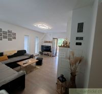 Living room in a family house with a corner sofa and a wooden decor floor.