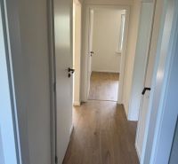 A hallway with white doors and a wooden decor floor in a 3-room apartment.