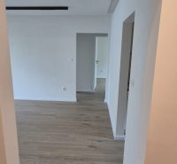 A hallway with entrances to rooms and a floor with a wooden decor in a 3-room apartment.