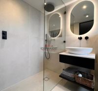 A bathroom in a family house with a large mirror and a shower enclosure.