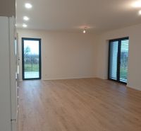 Spacious living room with wood-patterned flooring in a family house.
