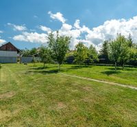 A garden at a family house on Športová Street in Hozelce, with a lawn and fruit trees.