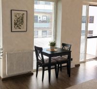 Dining area with a black table and a plant in a studio apartment with a balcony.