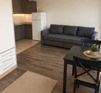 1-bedroom apartment with a kitchenette, sofa, and table. Floor with wood decor.