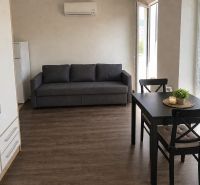 Living room in a studio apartment with wood-patterned flooring, a sofa, and a dining table.