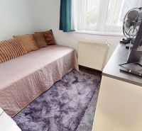 A room in a 3-room apartment with a bed, a television, and fluffy pillows on a purple carpet.
