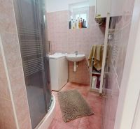 A bathroom with a shower, washing machine, and sink in a 3-room apartment.