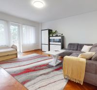 Living room in a 3-room apartment with a sofa, carpet, and wooden decor flooring.