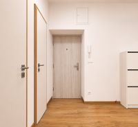 The entrance area of a 2-room apartment with white doors and a floor with a wood decor.