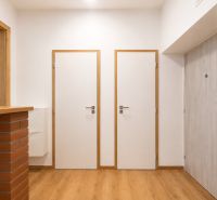 Entrance hallway in a 2-room apartment with white doors and a floor with a wood decor.