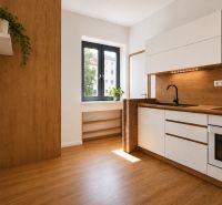 A kitchen in a 2-room apartment with a wooden decor floor and houseplants.