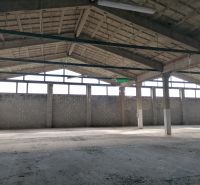 Warehouse and hall space with concrete flooring and a roof with steel beams.