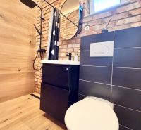 A bathroom with a shower, brick tiles, and a wooden decor floor in a family house.