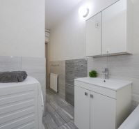 Bathroom in a 2-room apartment with a washing machine, sink, and mirrored cabinet.