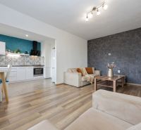 Living room of a two-room apartment with a kitchen; floor with wooden decor, sofa, dining table.