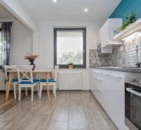 Kitchen in a 2-room apartment with a dining area and a wooden decor floor.