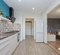 A kitchen with tiles and an open living room, 2-room apartment.