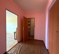 Entrance hallway with walls in a 3-room apartment, floor with wooden decor, pink walls.