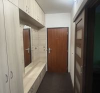 Entrance hallway in a 3-room apartment with wooden decor and storage space.