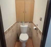 Small bathroom with a toilet and a cabinet in a 3-room apartment, tiles in beige shades.