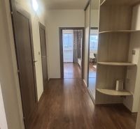 A hallway in a 3-room apartment with a wooden decor floor and a built-in wardrobe.