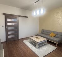 Living room in a 3-room apartment with a sofa, table, and floor with wooden decor.
