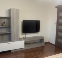 Living room with a television, wooden cabinets, and sliding doors.