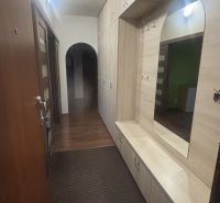 A hallway in a 3-room apartment with storage space and a mirror, with a floor featuring a wooden decor.