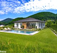 A family house with a swimming pool surrounded by nature on recreational plots in Lysice.