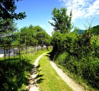 A path along the fence in the Recreational Grounds Lysice with lush vegetation and a blue sky.