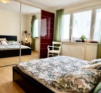Bedroom with a large wardrobe, bed, and wooden decor flooring in a 3-room apartment.