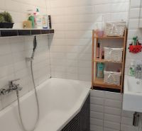 A bathroom in a 2-room apartment with a bathtub, mosaic tiles, and a shelving cabinet.