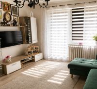 Living room in a two-room apartment with a sofa, decorations, and a wooden decor floor.