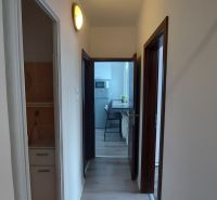 A narrow hallway in a 2-room apartment with entrances to the kitchen and bathroom.