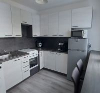 A kitchen in a 2-room apartment with a wood-patterned floor and white cabinets.