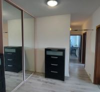 A hallway in a 2-room apartment with a wooden decor floor and a mirrored wardrobe.