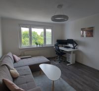 Living room in a two-room apartment with a corner sofa, a coffee table, and a desk.