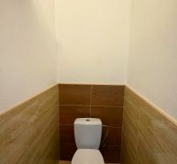 A toilet with wood decor tiles in a family house.