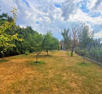 A garden around a family house in Iža with fruit trees and a lawn.