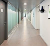 Offices with a long corridor and glass partitions, a picture on the wall, decorations on the shelf.