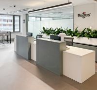 Reception in an office with green plants and large windows provides a pleasant atmosphere.