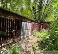 An overgrown garden near a cottage in Bratislava IV surrounded by dense trees and bushes.