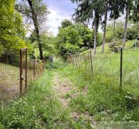 A forest path between fences and trees in Bratislava IV, leading to a cottage.
