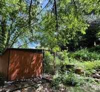 A wooden cabin in nature with rich vegetation in Bratislava IV.