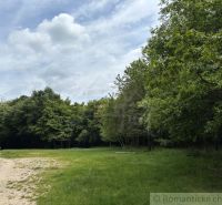 A forest path leading through a grassy clearing in Bratislava IV near a cottage.