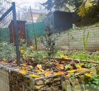 The garden of the cottage in Bratislava IV with a sloping terrain covered with autumn leaves.